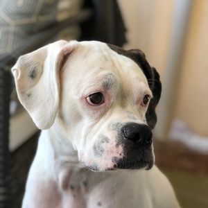 Meet your Posher, Missy